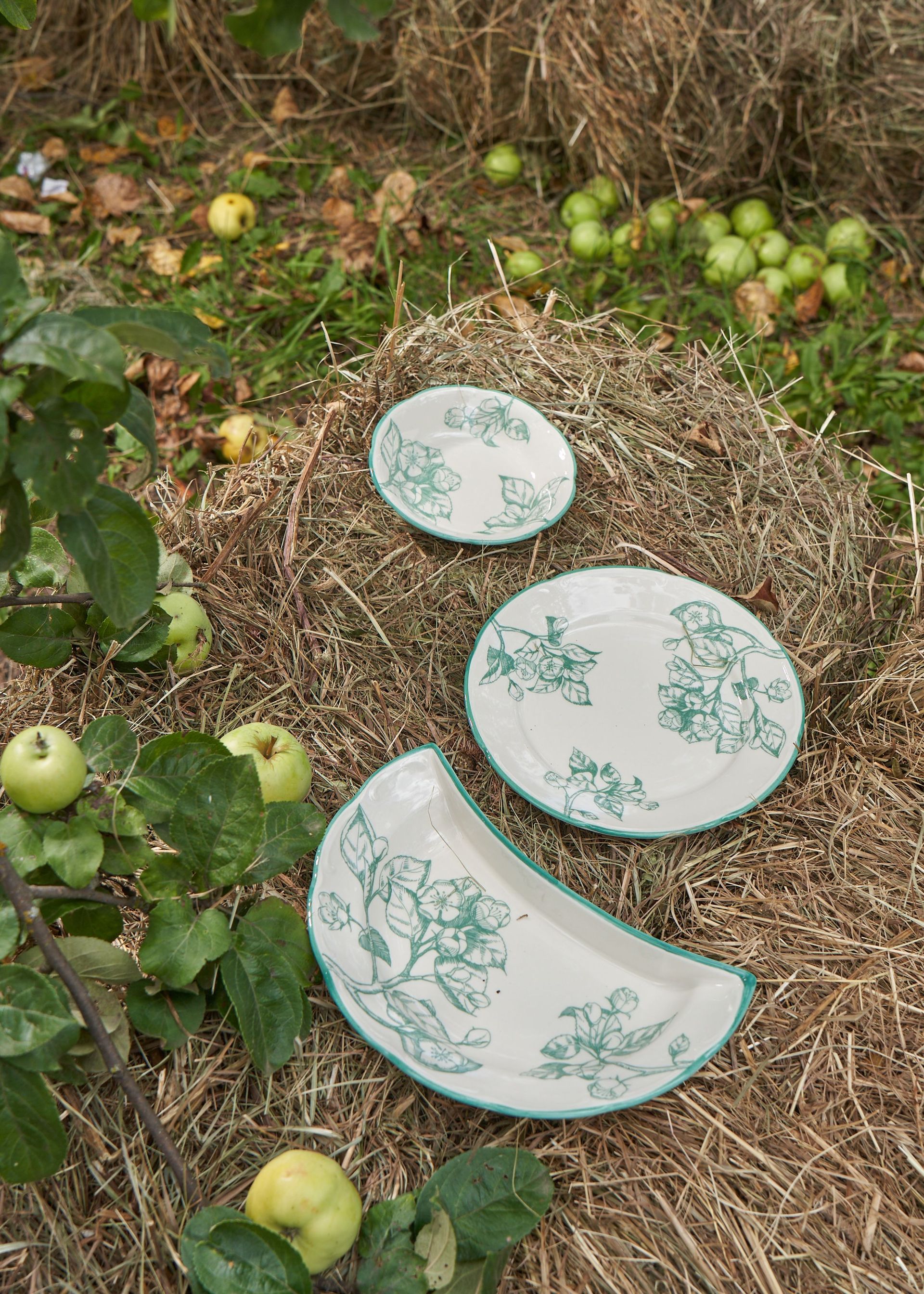 Розетка "Яблони" #5