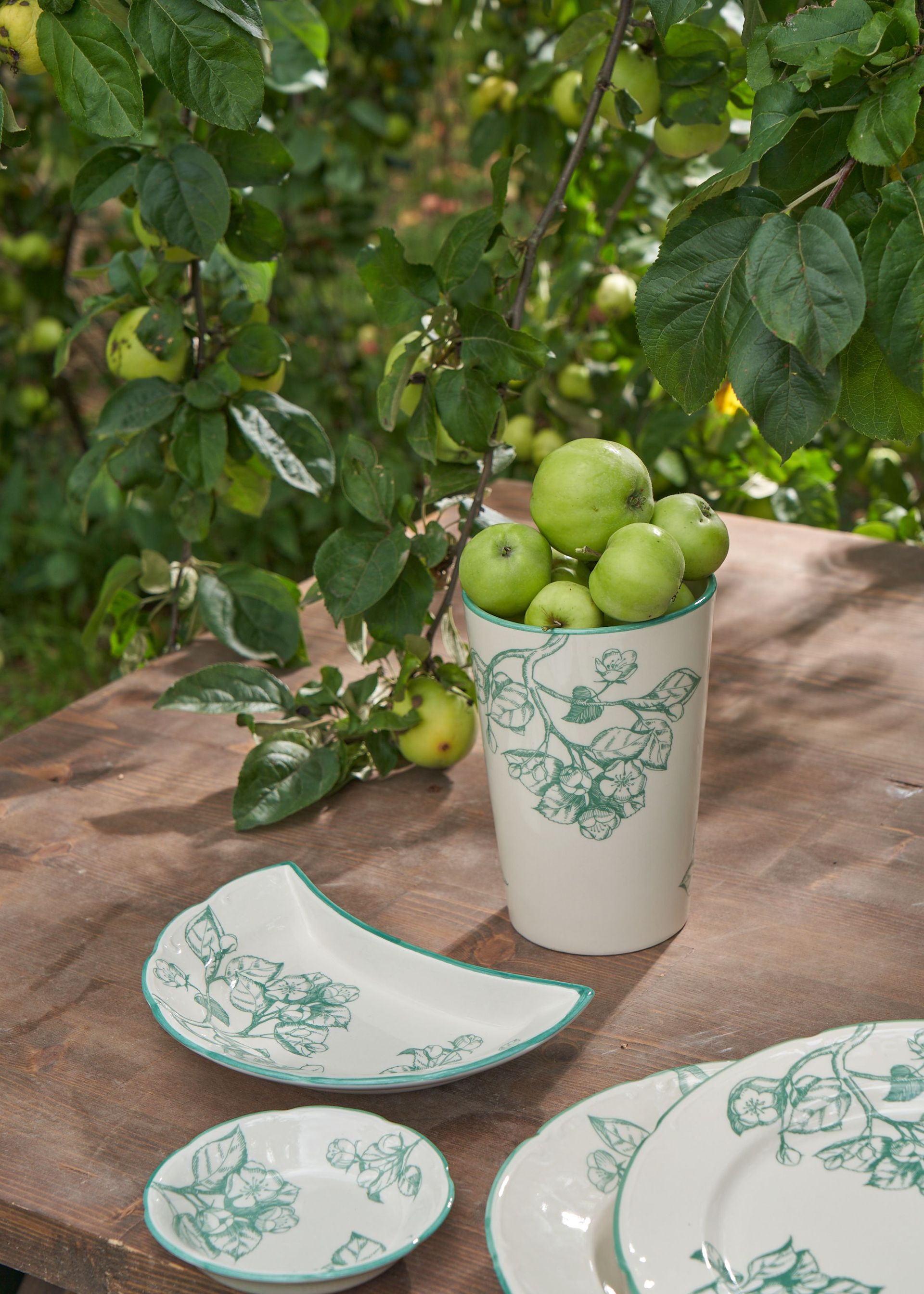 Розетка "Яблони" #4