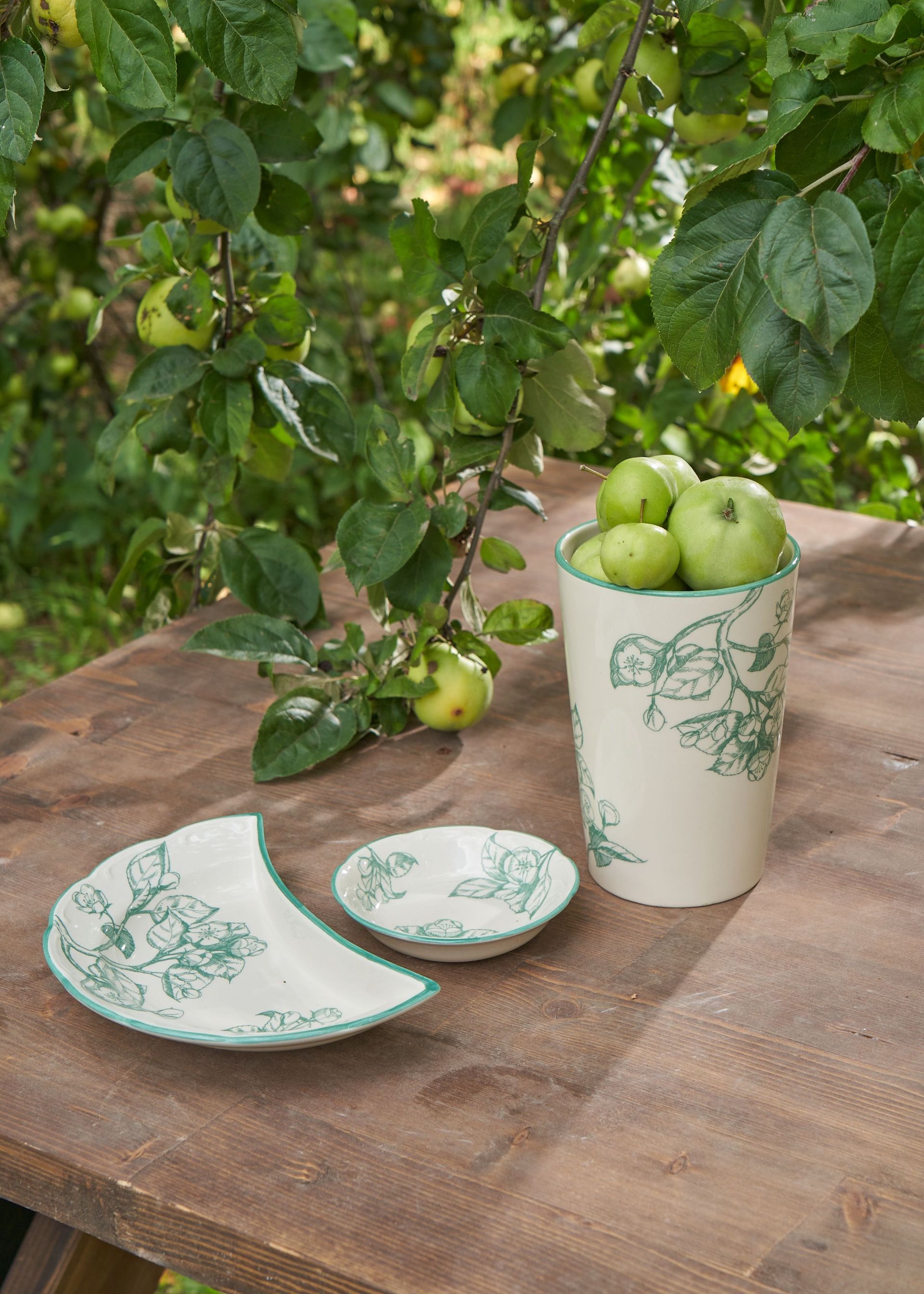 Розетка "Яблони" #3