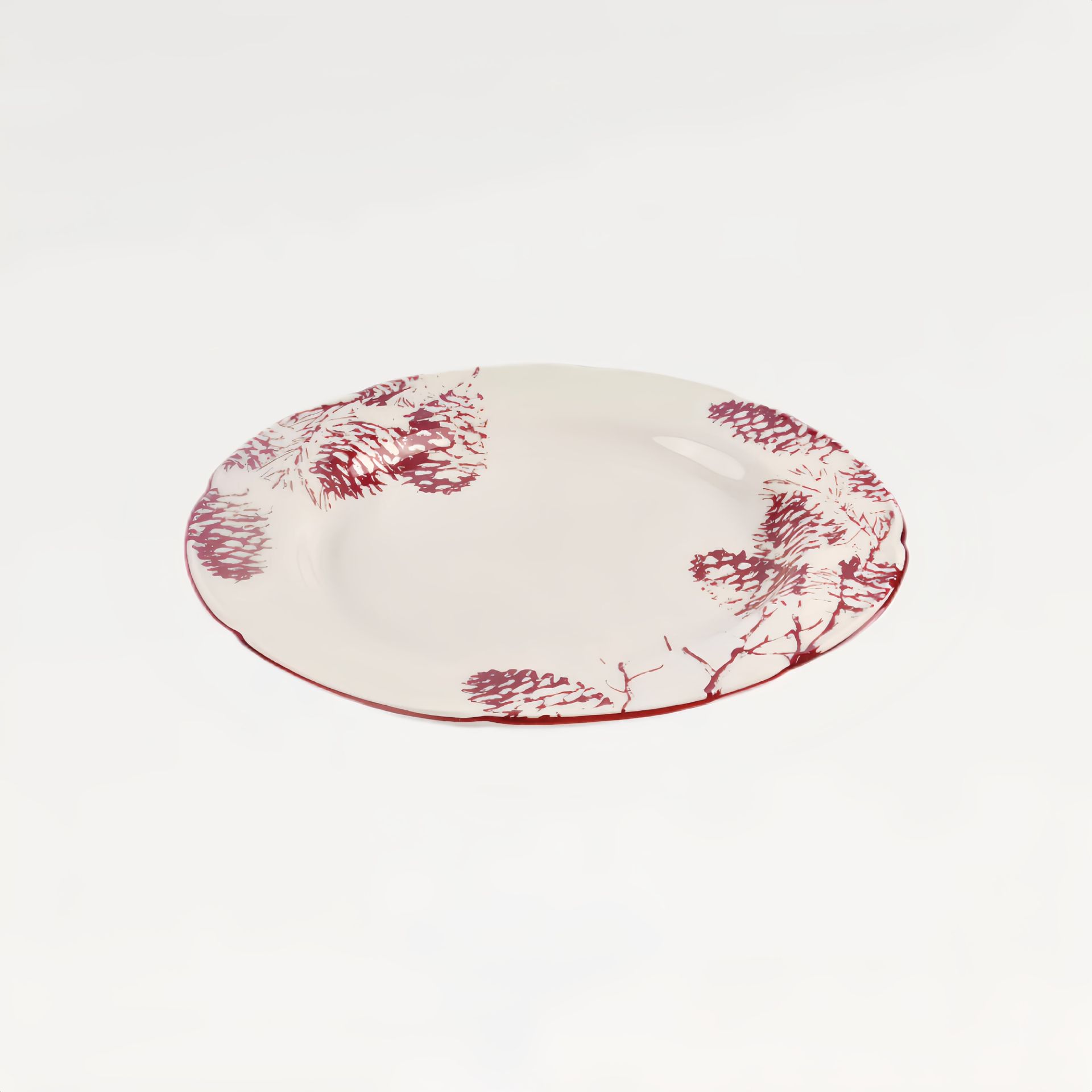 Тарелка плоская с полями &quot;Снегирь&quot; #0