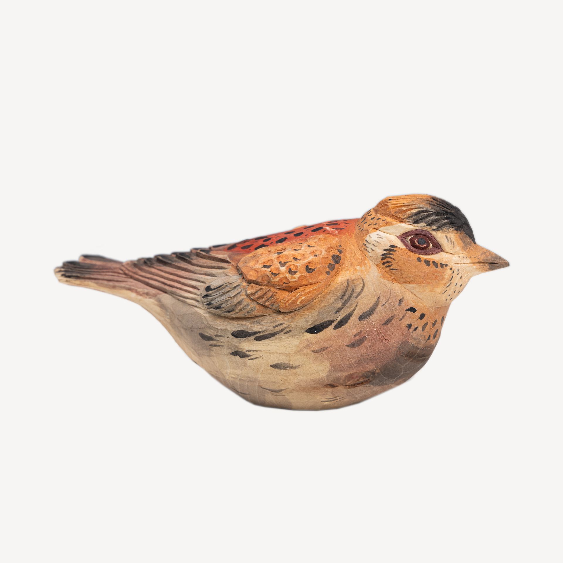 Птица 2 Агапитов #1