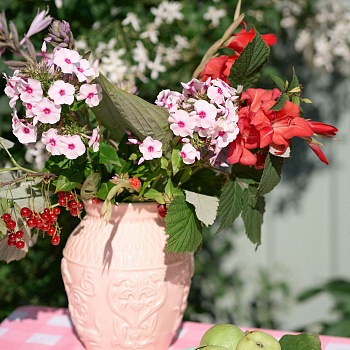 Тарелка полумесяц &amp;quot;Яблони&amp;quot; #