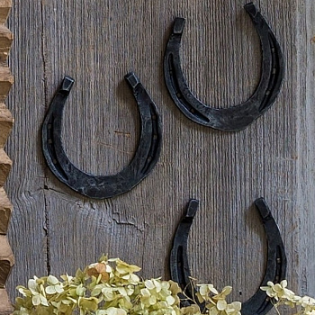 Подкова декоративная #