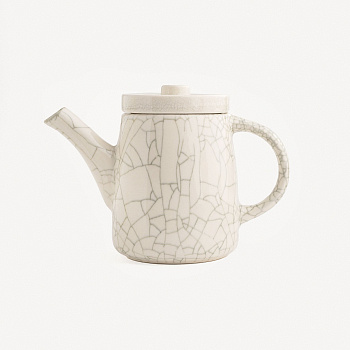 Чайник конический "Спайдер" #