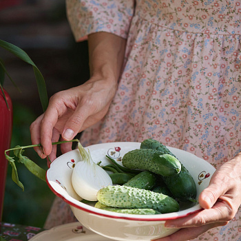 Тарелка плоская с полями &amp;quot;Шиповник&amp;quot; #