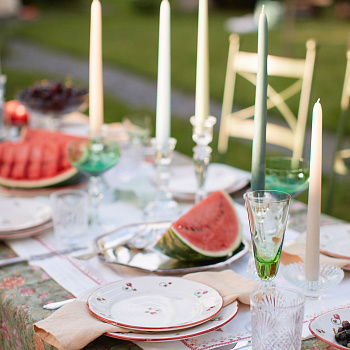 Тарелка плоская с полями &amp;quot;Шиповник&amp;quot; #