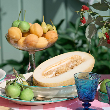 Блюдо овальное &amp;quot;Яблони&amp;quot; #